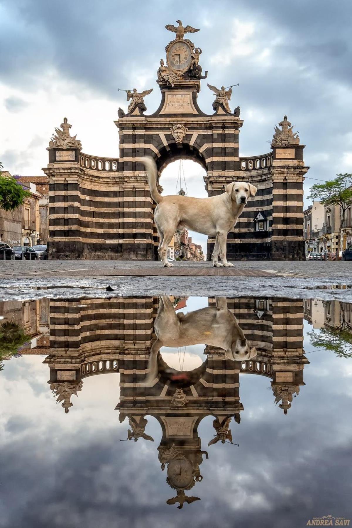 Вилла Garibaldi 94- Intera Casa A 2 Passi Dal Duomo Катания Экстерьер фото